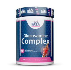Glucosamine Chondroitin & MSM Complex 240 Capsules